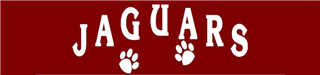 JaguarBanner