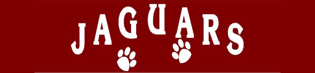 JaguarBanner